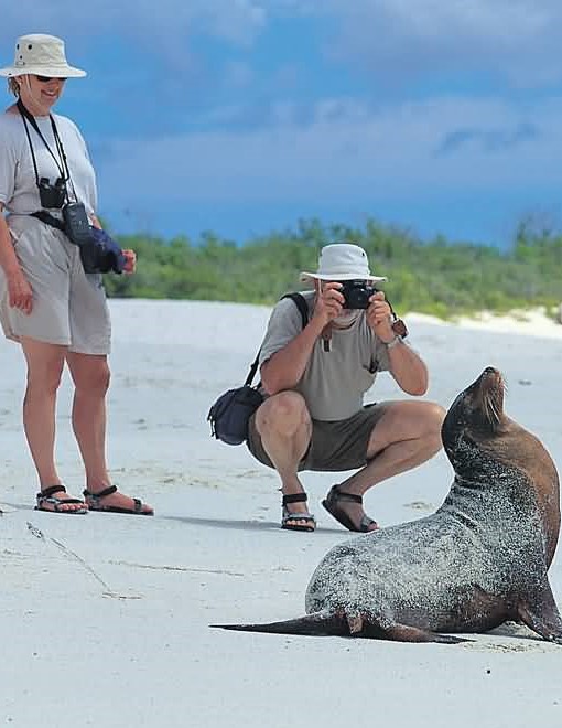 Travel galapagos, turismo galapagos, hoteles galapago, alojamiento galapagos, tours galapagos, gapalapgos travel, galapagos lodge, restaurantes galapagos, donde comer galapagos, habitaciones galapagos, caba�as galapagos, hospedaje galapagos, donde dormir galapagos