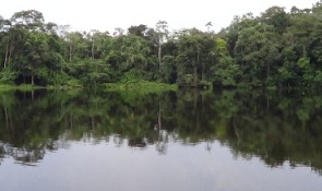 Paquete Turístico grupos oferta amazonía